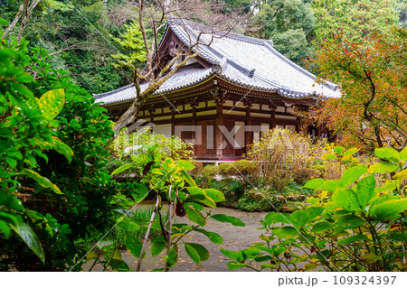 【京都府】木津川市 岩船寺 (2023/11/29 撮影) 【京都府】木津川市 岩船寺 (2023/11/29 撮影) 109324397