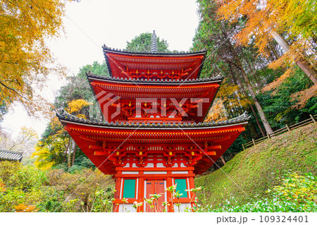 【京都府】木津川市 岩船寺 (2023/11/29 撮影) 109324401