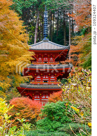 【京都府】木津川市 岩船寺 (2023/11/29 撮影) 109324407