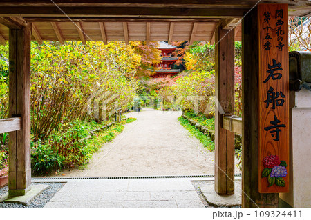 【京都府】木津川市 岩船寺 (2023/11/29 撮影) 【京都府】木津川市 岩船寺 (2023/11/29 撮影) 109324411
