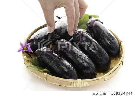 新鮮な なすび 明るい素材イメージ(白バック)なすの花と葉っぱを添えて 新鮮な なすび 明るい素材イメージ(白バック)なすの花と葉っぱを添えて 109324744