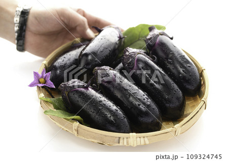 新鮮な なすび 明るい素材イメージ(白バック)なすの花と葉っぱを添えて 新鮮な なすび 明るい素材イメージ(白バック)なすの花と葉っぱを添えて 109324745
