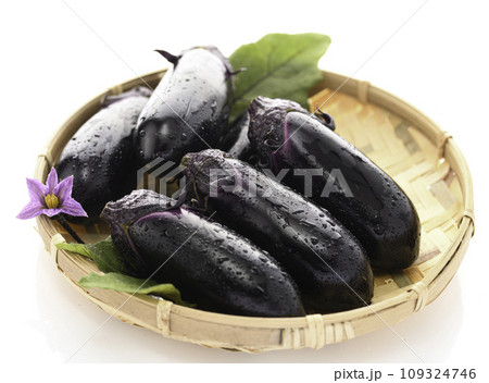 新鮮な なすび 明るい素材イメージ(白バック)なすの花と葉っぱを添えて 新鮮な なすび 明るい素材イメージ(白バック)なすの花と葉っぱを添えて 109324746