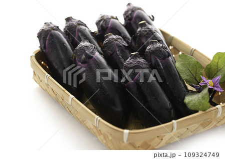 新鮮な なすび 明るい素材イメージ(白バック) 新鮮な なすび 明るい素材イメージ(白バック) 109324749