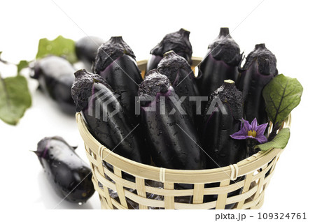 新鮮な なすび 明るい素材イメージ(白バック)なすの花と葉っぱを添えて 新鮮な なすび 明るい素材イメージ(白バック)なすの花と葉っぱを添えて 109324761
