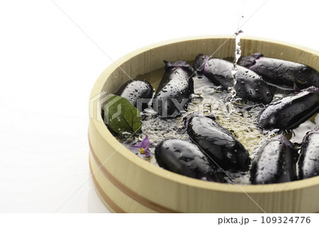 新鮮な なすび　明るい素材イメージ（白バック） 109324776