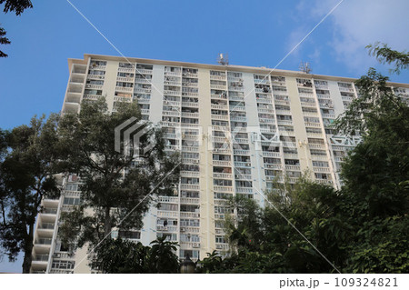 Oct 14 2023 Community Oasis in the Midst of Wah Fu Estate Hong Kong 109324821