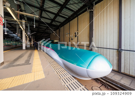 盛岡駅に停車中のはやぶさ 109324909