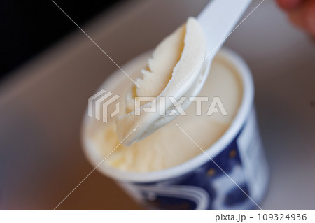 シンカンセンスゴクカタイアイス 109324936