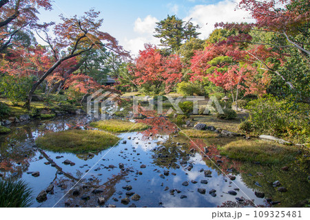 無鄰菴の紅葉(京都) 無鄰菴の紅葉(京都) 109325481