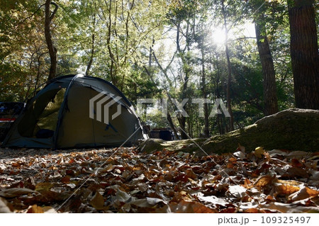 キャンプ場レイアウト キャンプ場レイアウト 109325497