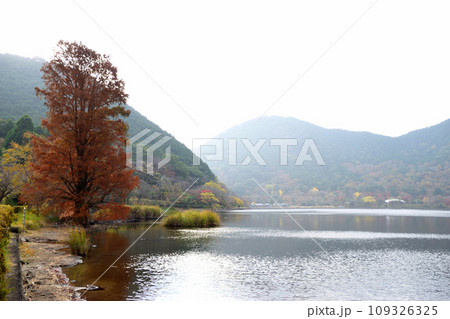藺牟田池の紅葉 藺牟田池の紅葉 109326325