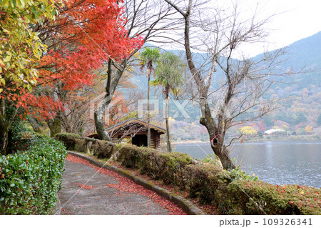 藺牟田池の紅葉 藺牟田池の紅葉 109326341