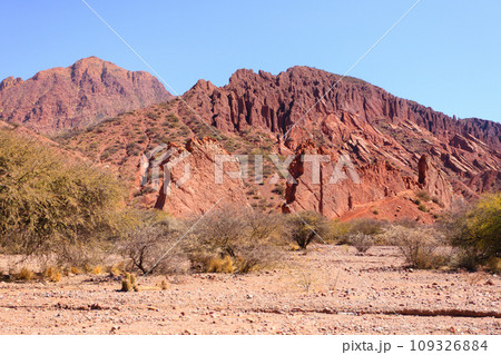 Bolivian canyon near Tupiza,Bolivia 109326884