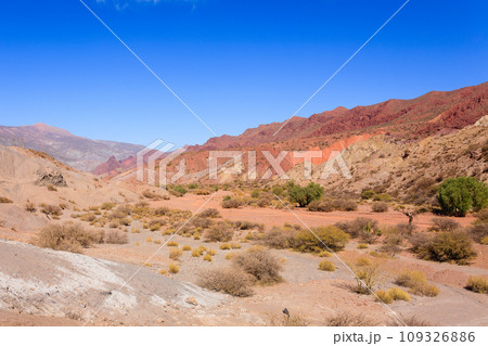 Bolivian canyon near Tupiza,Bolivia 109326886