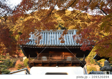 興聖寺 山門 琴坂 秋 興聖寺 山門 琴坂 秋 109326894