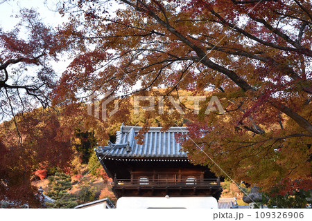 興聖寺　山門　琴坂　秋 109326906