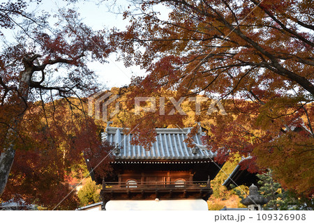 興聖寺 山門 琴坂 秋 興聖寺 山門 琴坂 秋 109326908