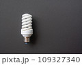 Energy saving light bulb on a black background 109327340