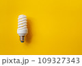 Energy saving light bulb on a orange background 109327343