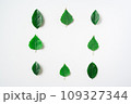 green leaves square frame banner top view isolated on white 109327344