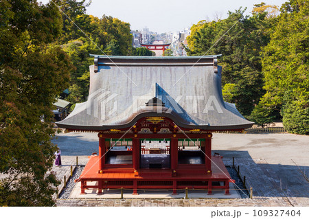 古都鎌倉の春 鶴岡八幡宮 舞殿と段葛(参道)の桜並木 古都鎌倉の春 鶴岡八幡宮 舞殿と段葛(参道)の桜並木 109327404
