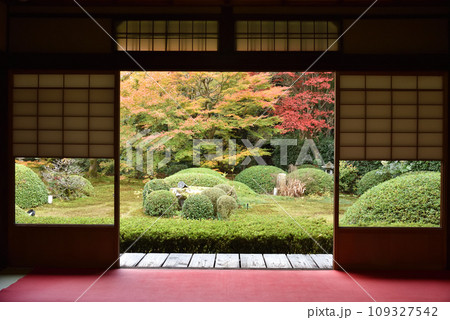 雲龍院　大輪の間から見る庭園　秋 109327542