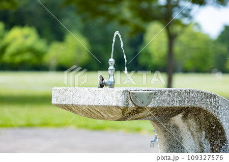 喉を潤す公園の水飲み場 109327576