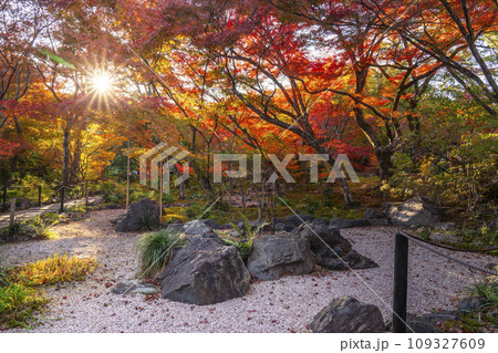 秋の京都嵯峨野 見事な紅葉の宝筐院 秋の京都嵯峨野 見事な紅葉の宝筐院 109327609