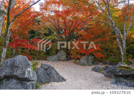 秋の京都嵯峨野 見事な紅葉の宝筐院 秋の京都嵯峨野 見事な紅葉の宝筐院 109327610