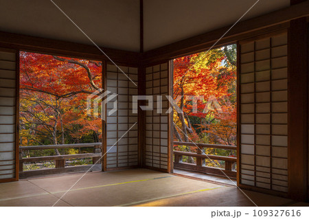 秋の京都嵯峨野　本堂から眺める見事な紅葉の宝筐院 109327616