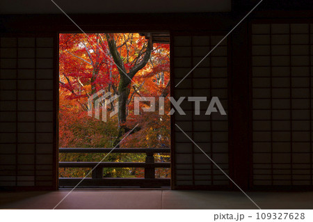 秋の京都嵯峨野 見事な紅葉の宝筐院 本堂からの眺め 秋の京都嵯峨野 見事な紅葉の宝筐院 本堂からの眺め 109327628