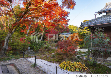秋の京都嵯峨野 見事な紅葉の宝筐院 秋の京都嵯峨野 見事な紅葉の宝筐院 109327629