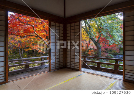 秋の京都嵯峨野　見事な紅葉の宝筐院　本堂からの眺め 109327630