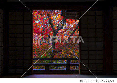 秋の京都嵯峨野　見事な紅葉の宝筐院　本堂からの眺め 109327634