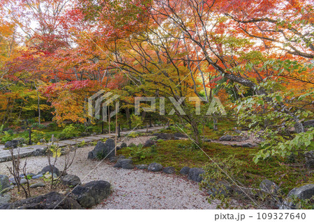 秋の京都嵯峨野　見事な紅葉の宝筐院 109327640