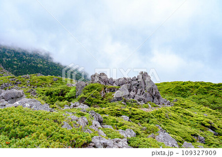 【夏の八ヶ岳】天狗の奥庭_02 109327909