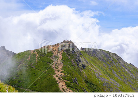 【夏の八ヶ岳】東天狗岳の登山道 109327915