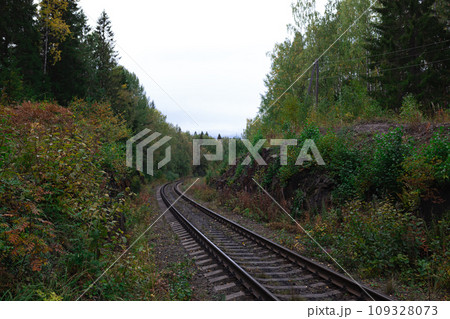 View of railway tracks with green tree. Travel and transportation concept. 109328073