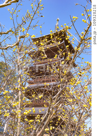 四国霊場第七十番札所 本山寺 四国霊場第七十番札所 本山寺 109328218