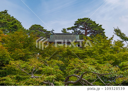 青森 弘前城の夏景色 109328539