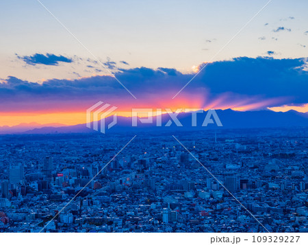 (東京都)都庁から眺める東京都市風景 夕景 (東京都)都庁から眺める東京都市風景 夕景 109329227