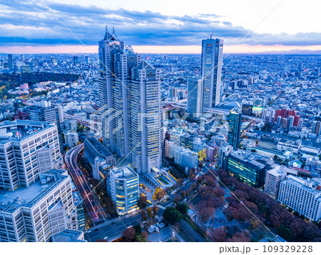 （東京都）都庁から眺める東京都市風景　夕景 109329228
