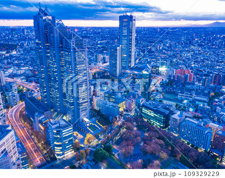（東京都）都庁から眺める東京都市風景　夕景 109329229