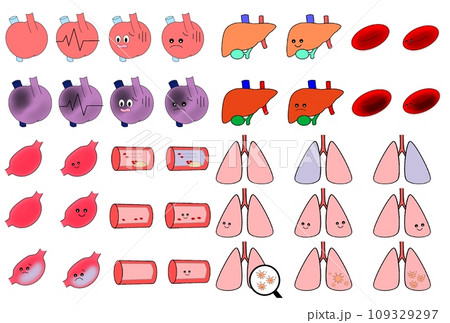 シンプルな心臓や内臓や血管のイラスト シンプルな心臓や内臓や血管のイラスト 109329297