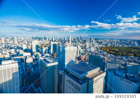 （東京都）都庁展望台から眺める東京都市風景　午後 109329305