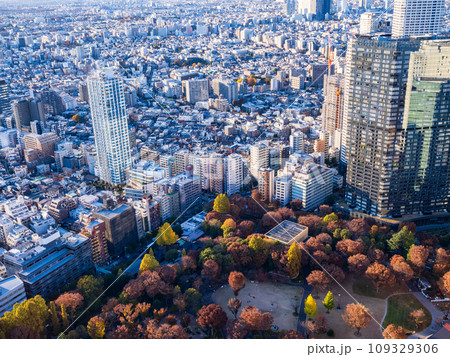 （東京都）都庁展望台から眺める東京都市風景　午後 109329306