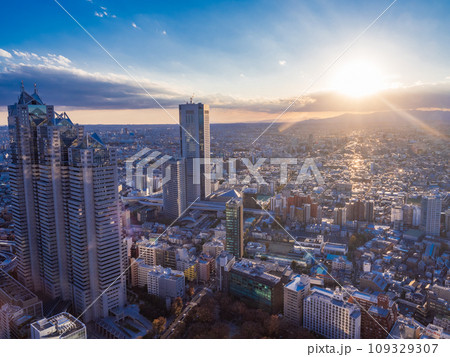 （東京都）都庁展望台から眺める東京都市風景　午後 109329307