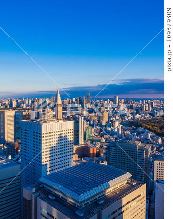 (東京都)都庁展望台から眺める東京都市風景 午後 (東京都)都庁展望台から眺める東京都市風景 午後 109329309
