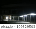 夜の体育館までの街灯 109329503